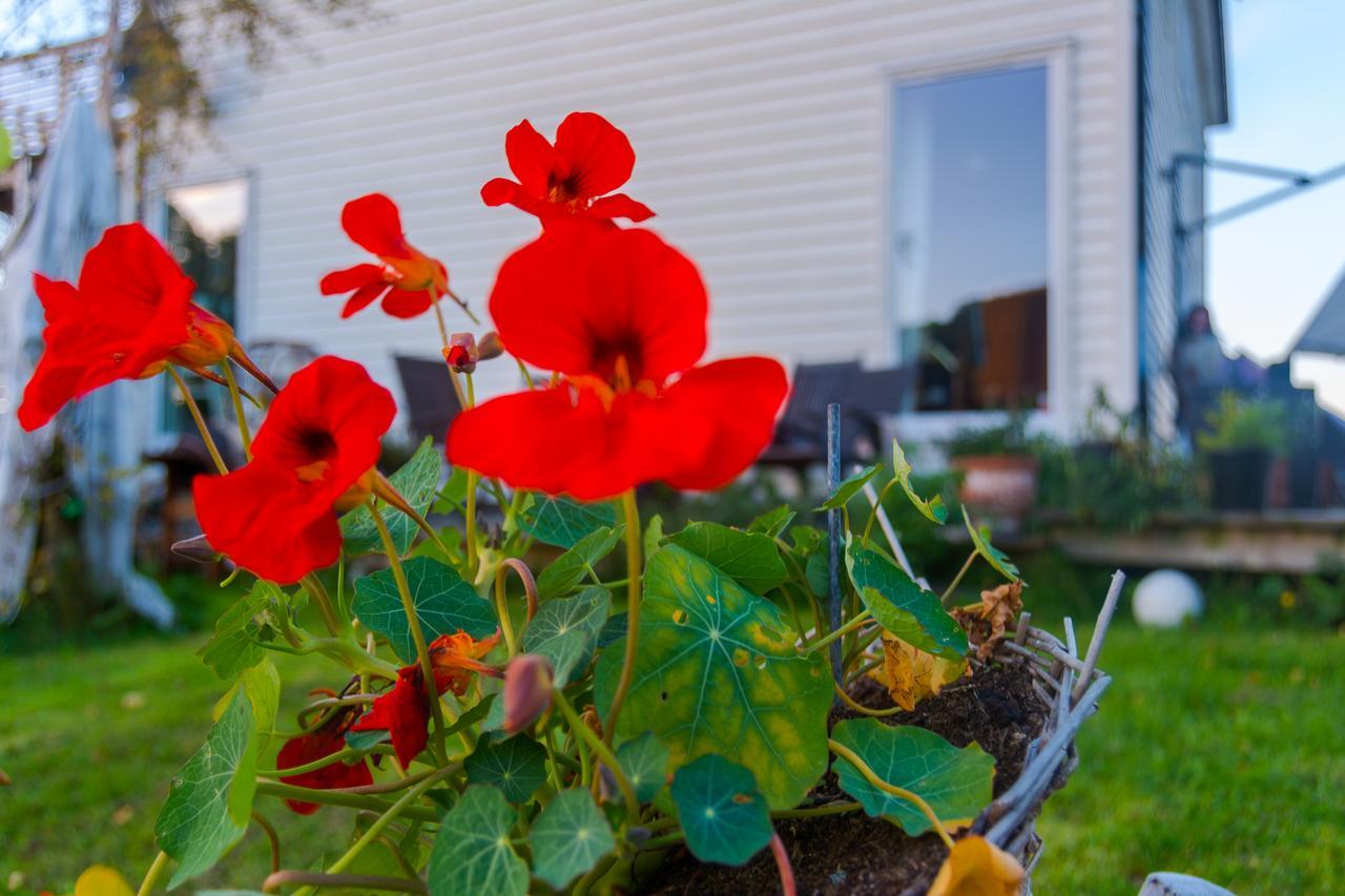 Strandheimen Guesthouse Melhus ภายนอก รูปภาพ